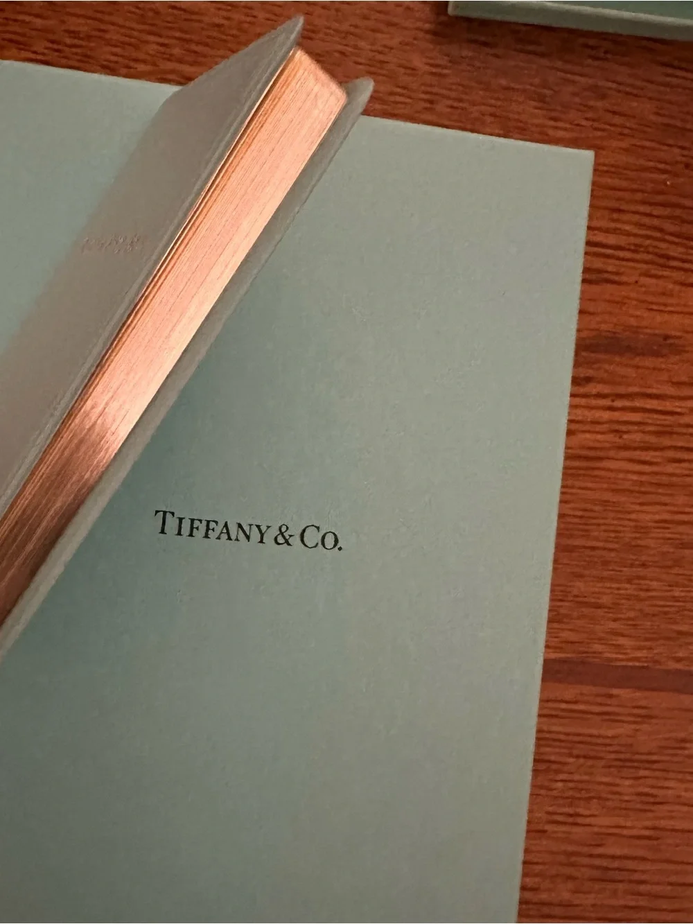 New Tiffany little blue Notebook